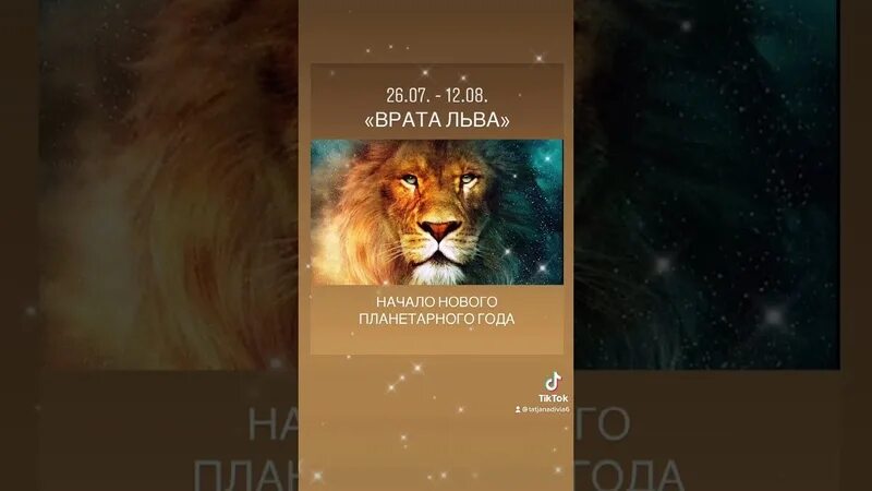 Врата льва что делать. Врата льва. врата льва 08.08. врата льва день вне времени. врата льва и звезда сириус.