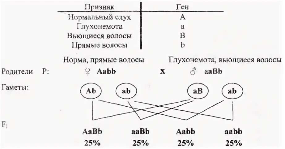 Наследование глухонемоты у человека. У человека ген вызывающий одну из форм наследственной глухонемоты. Глухонемота Тип наследования. Глухонемота наследуется по типу. Кудрявые волосы рецессивный