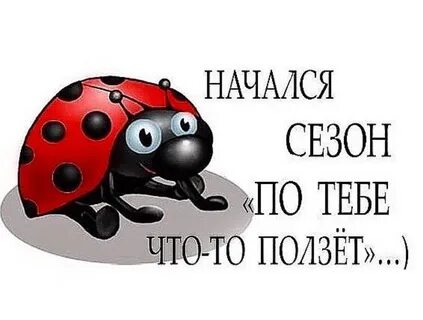 Ты куда ползешь в российскую