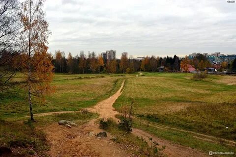 Всеволожский лесопарк