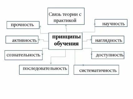 Принцип связи теории с практикой в педагогике