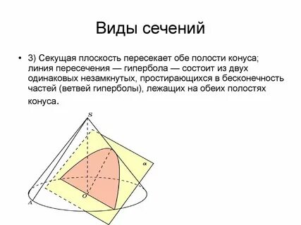 Виды сечений в геометрии