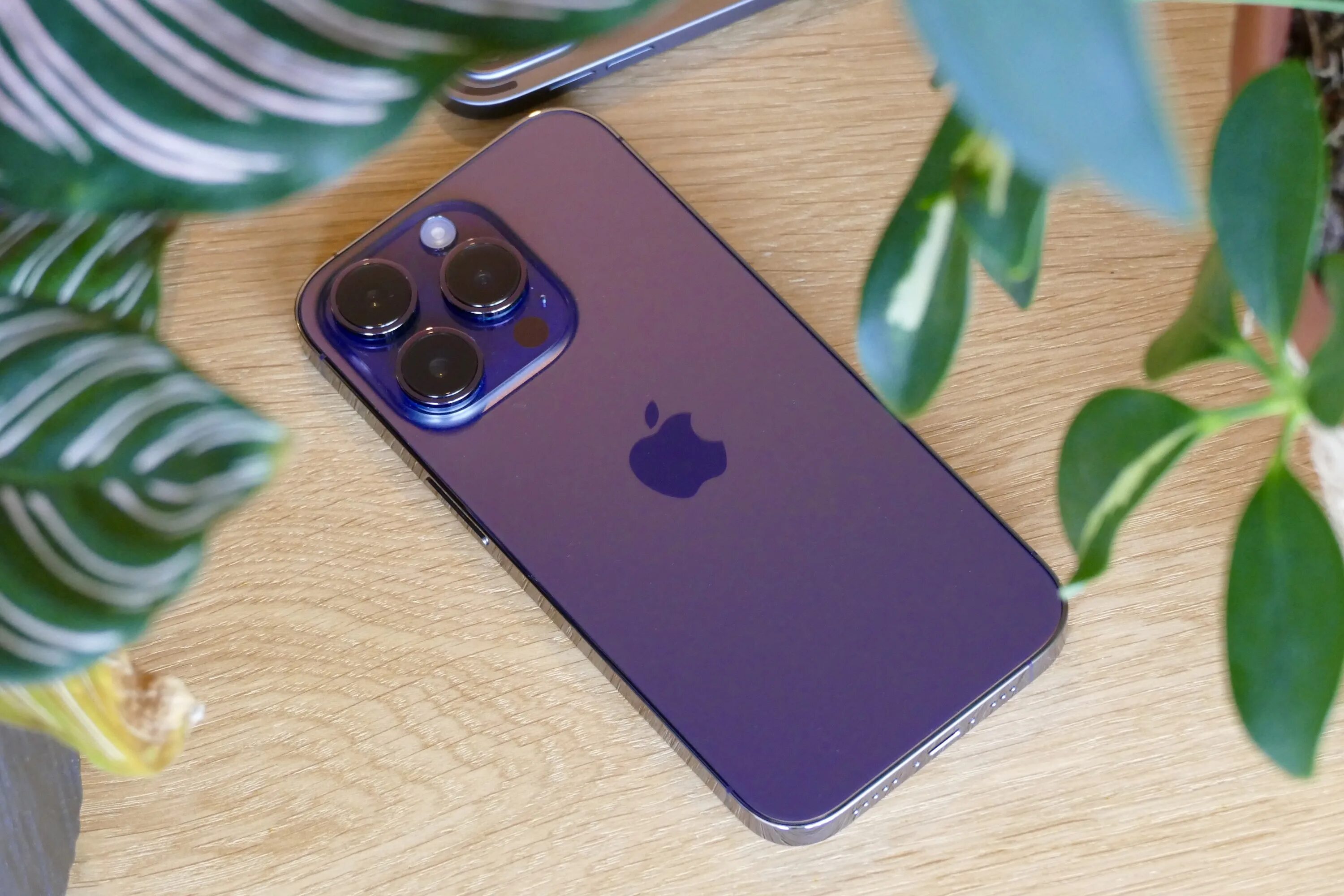 Iphone 15 pro 256gb в рассрочку. Iphone 14 Pro Max Purple. Iphone 14 Pro Purple. Iphone 14 Pro Max Deep Purple. Iphone 14 Pro 256 Purple.