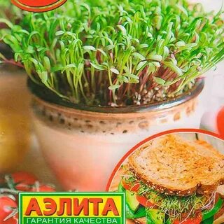 Микрозелень смесь