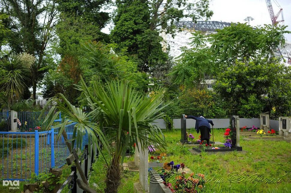 Кладбище в олимпийском парке. Олимпийский парк Сочи кладбище староверов. Старообрядческое кладбище Адлер. Олимпийский парк Адлер кладбище. Сочи Адлер кладбище.