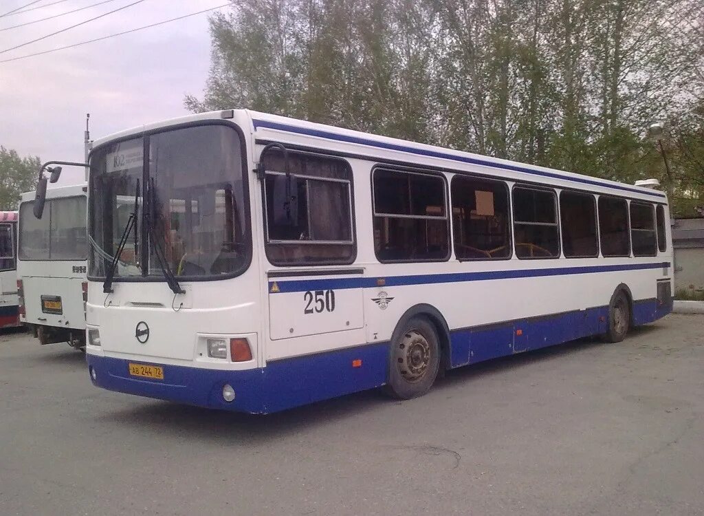 икарус 250. Mb sprinter omsi. лиаз 5256. 250 автобус маршрут. 250 маршрутка барнаул повалиха.