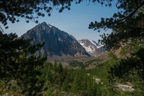 Алтай центр