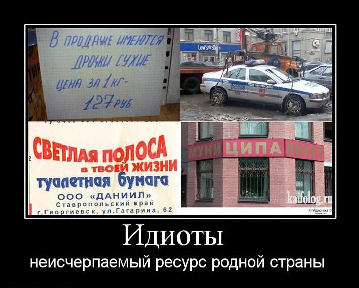 Придурка страны. Придурка страны. Фотожабы на идиотов. Страна дебилов. Фотожабы на идиотов.