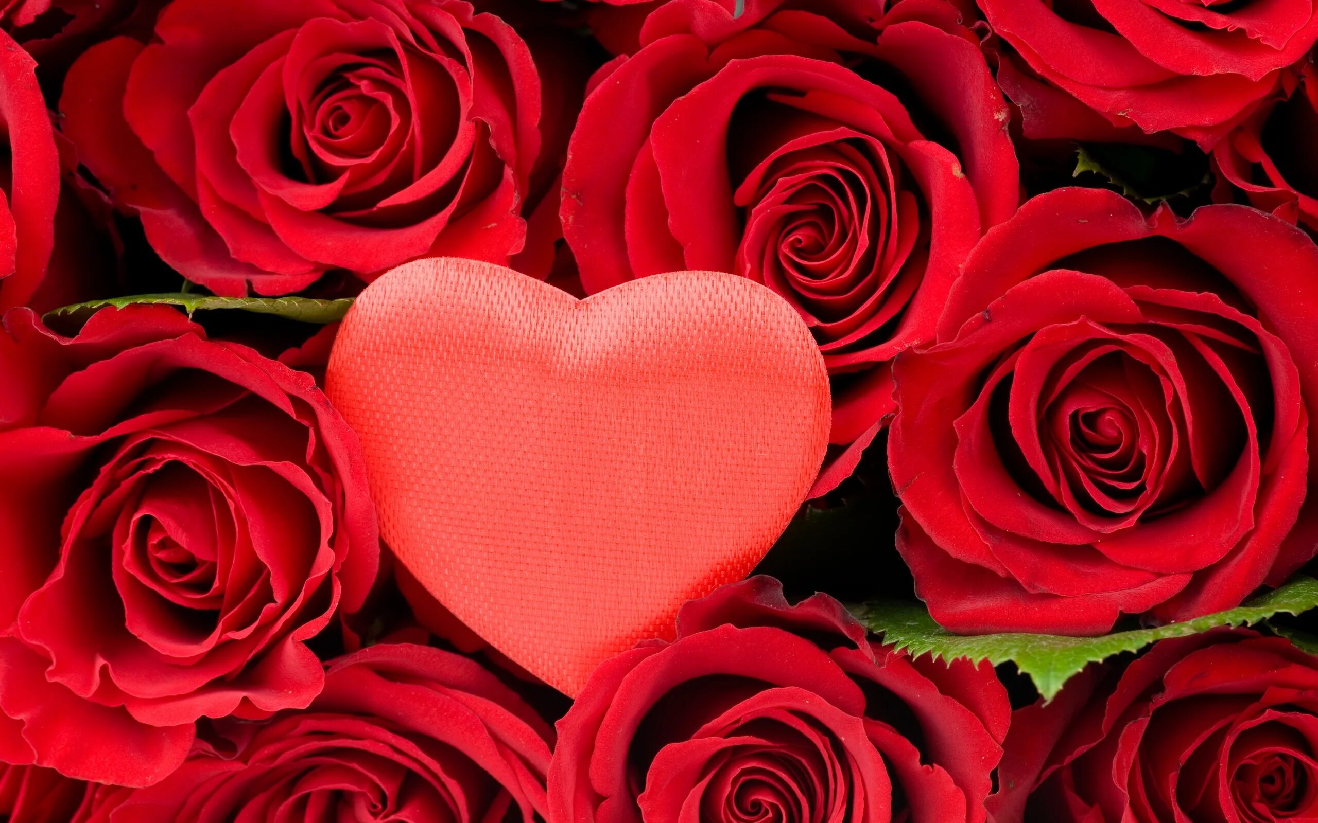 Розочки любимые. Красные розы. Розы в сердце. Цветы розы красные. Цветы сердечки.