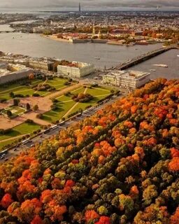 Осень в спб 2023