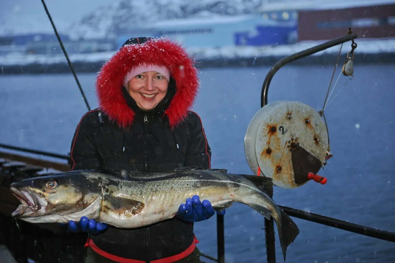 Рыбалка в мурманске териберка. Морская прогулка териберка. Лов трески в баренцевом море. Баренцево море. Баренцево море рыба треска.