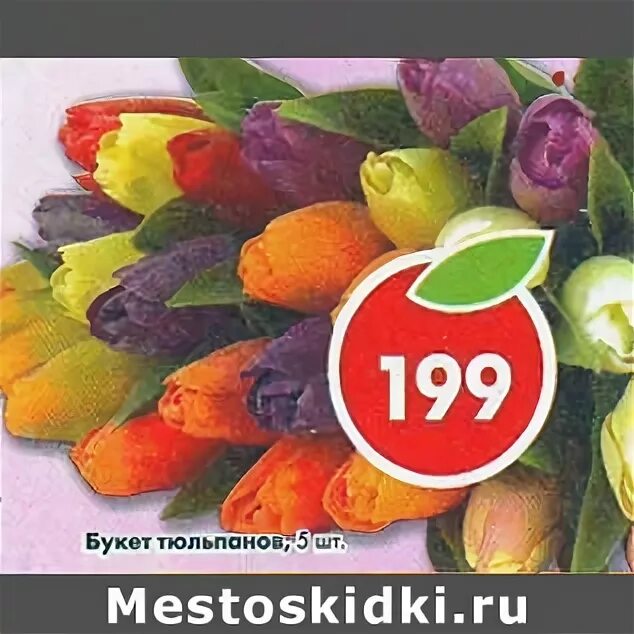 Цветыпятеррчка тюльпаны. Тюльпаны из пятерочки. Букет тюльпанов в пятерочке. Тюльпаны в пятерке. Цветы из пятерочки тюльпаны.