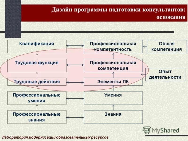 первые шаги программа доу. адаптированная образовательная программа схема. первый образовательный программа. первый образовательный телеканал. телеканал сгу тв.