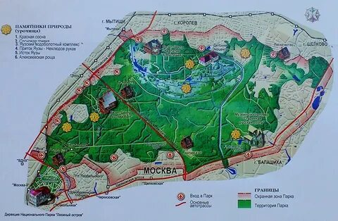 Как добраться до лосиного парка