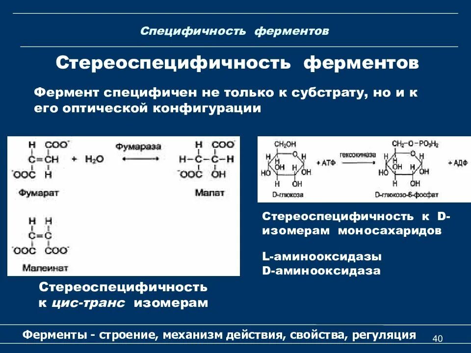 Субстратная специфичность ферментов. Стереохимическая специфичность ферментов. Относительная специфичность ферментов примеры. Относительная Субстратная специфичность пример. Относительная специфичность пример.