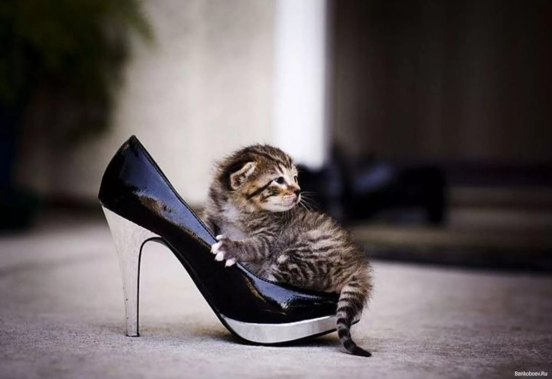 Даже написала. Кто не спрятался я не виноват. Даже написала. Меня зовут торговец черным деревом себастьян. Ты скучаешь.