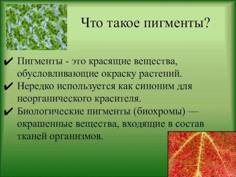 Какой растительный пигмент не образуется. Пигменты это в биологии. Пигменты растений. Биологическая роль пигментов. Пигменты растительной клетки.