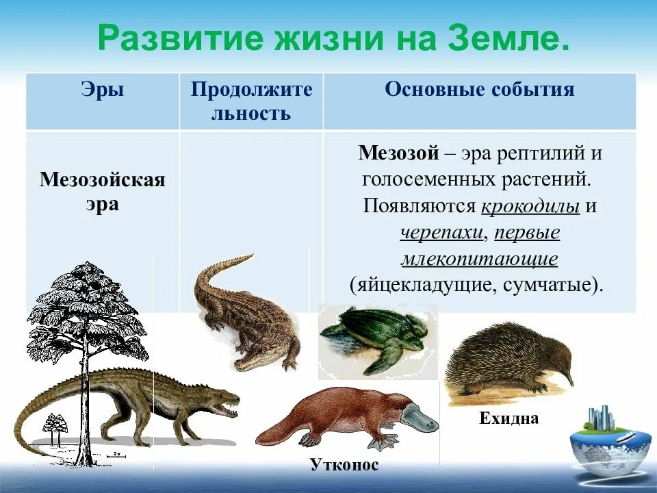 Как развивалась жизнь людей