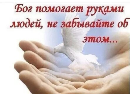 Очень хорошо помочь жизни