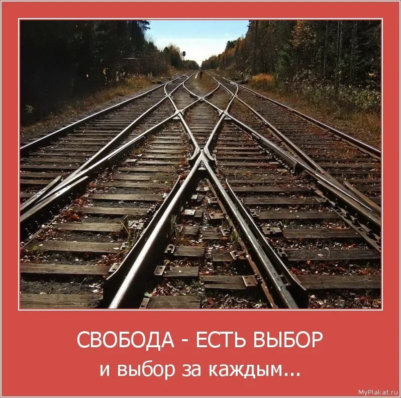 У нас всегда есть выбор. Свобода выбора. Свобода выбора пути. Свобода выбора картинки.