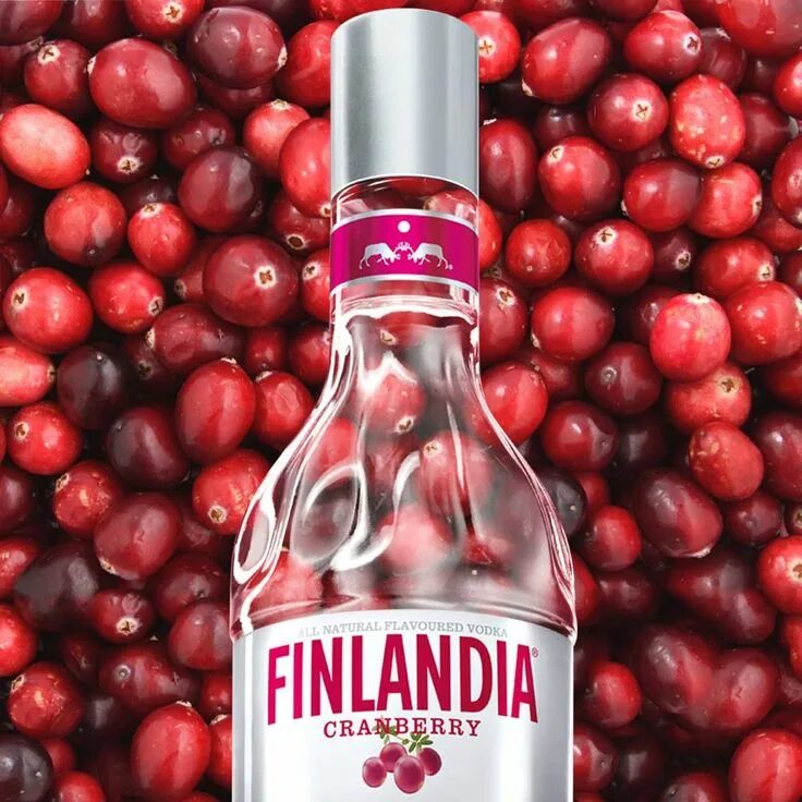 Кисель preston клюква 30г. Брусника и клюква эстетика. Кисель мастер дак. Линдт вкус клюквы. Кисель "авс" цукатами 30гр.