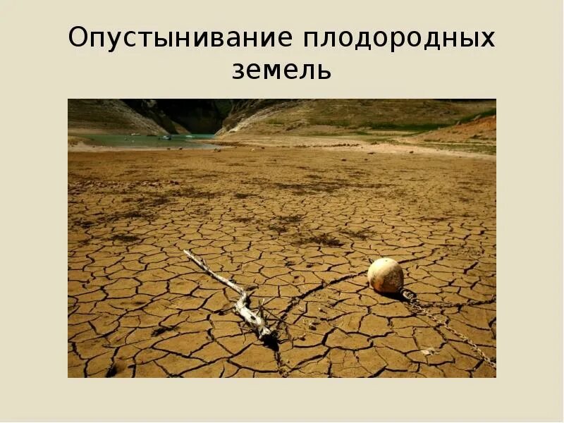 Почему опустынивание является глобальной проблемой. Опустынивание. опустынивание последствия. последствия опустынивания земель. опустынивание презентация.