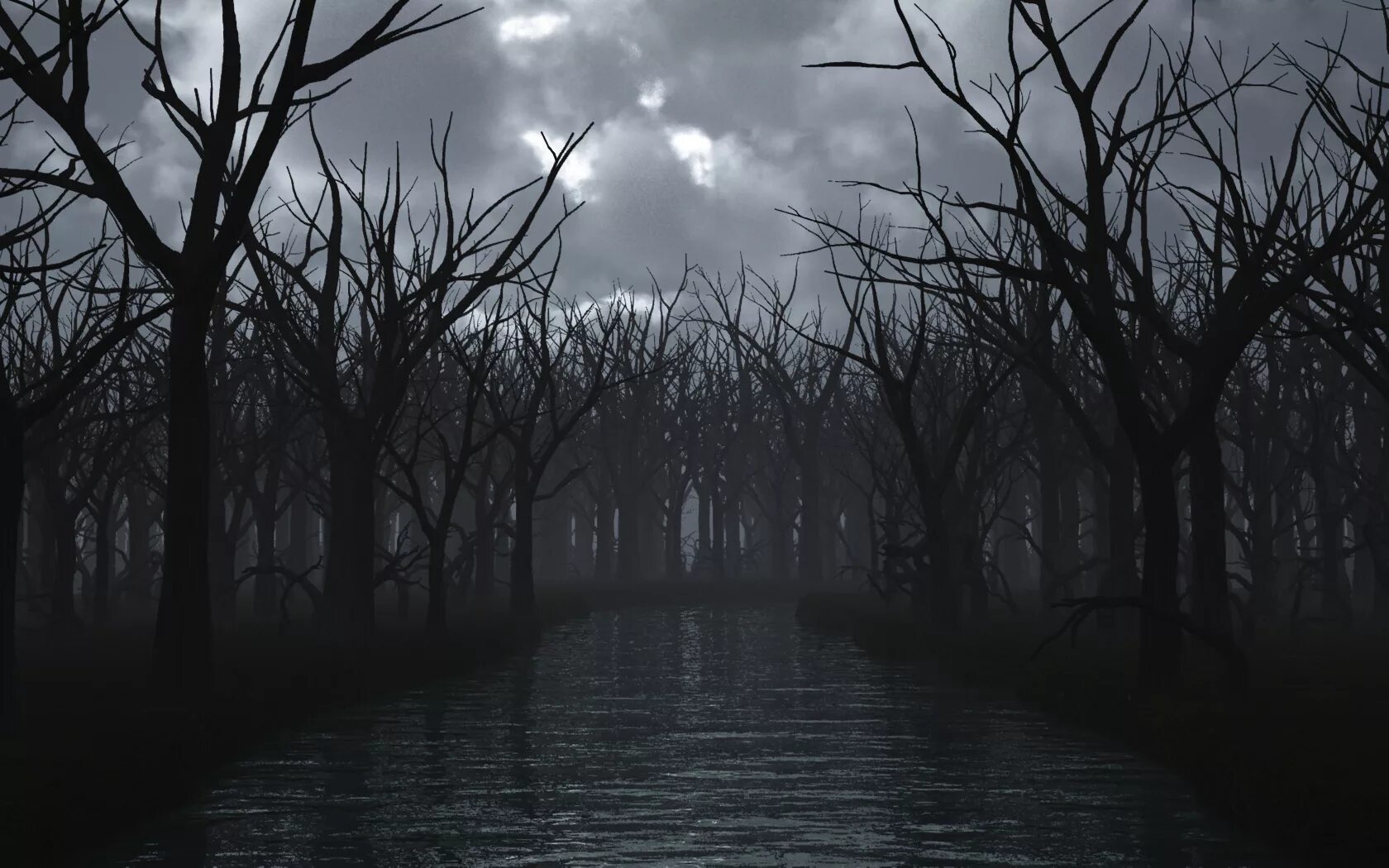 Мрачное озеро в лесу. В темном лесе вода. Темное болото. Болото в лесу. Темный пейзаж.