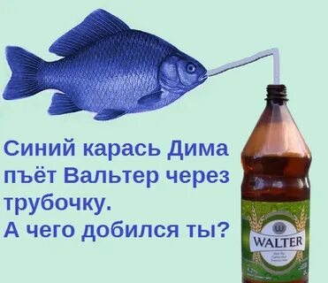 Я не помню карась