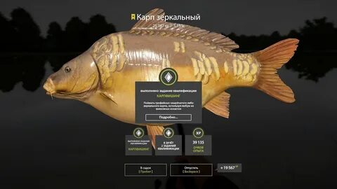 Реальная рыбалка карп на что ловить
