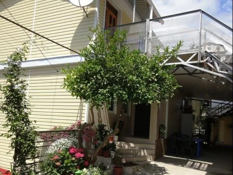 Гостевой дом прибой лоо. П лоо долголетие. П лоо долголетие. Лоо улица декабристов. Лоо гармония.