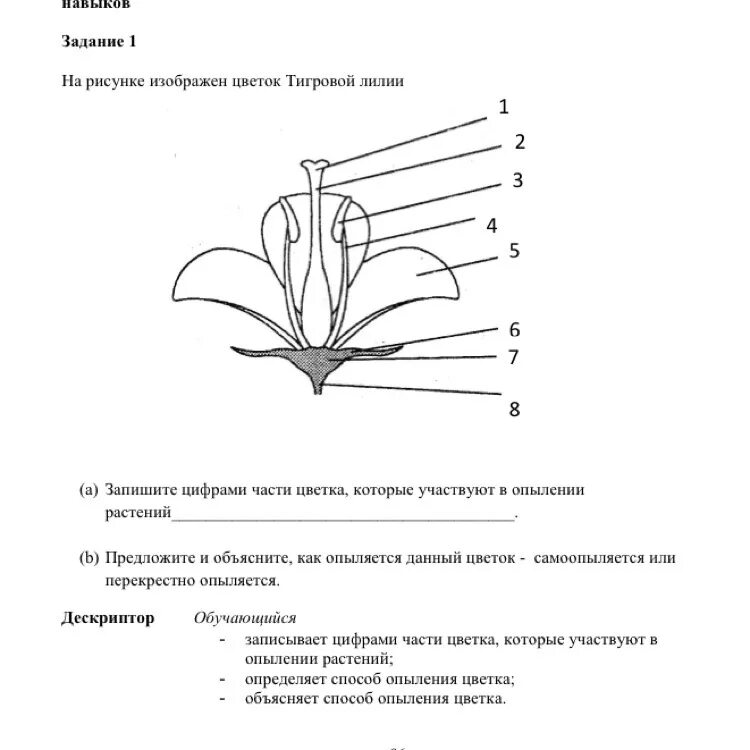 Биология 7 вопросы. Упражнения по биологии 7 класс. Задания по биологии 7 класс растений. Биология 7 класс задания. Части цветка участвующие в опылении.