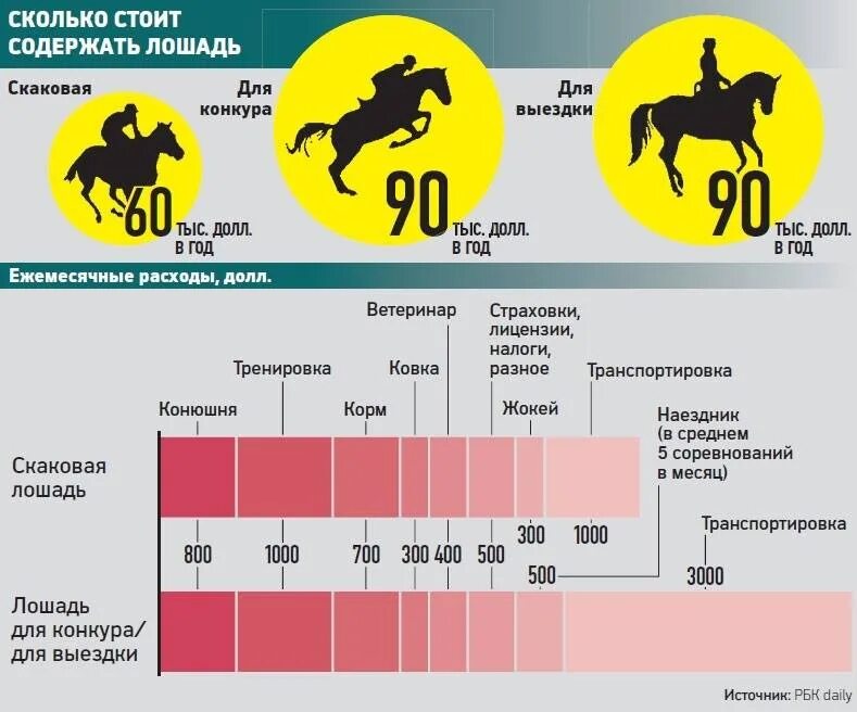 Сколько лошадей у человека. Количество лошадей в России. Средняя стоимость коня. Содержание лошадей. Сколько стоит лошадь.