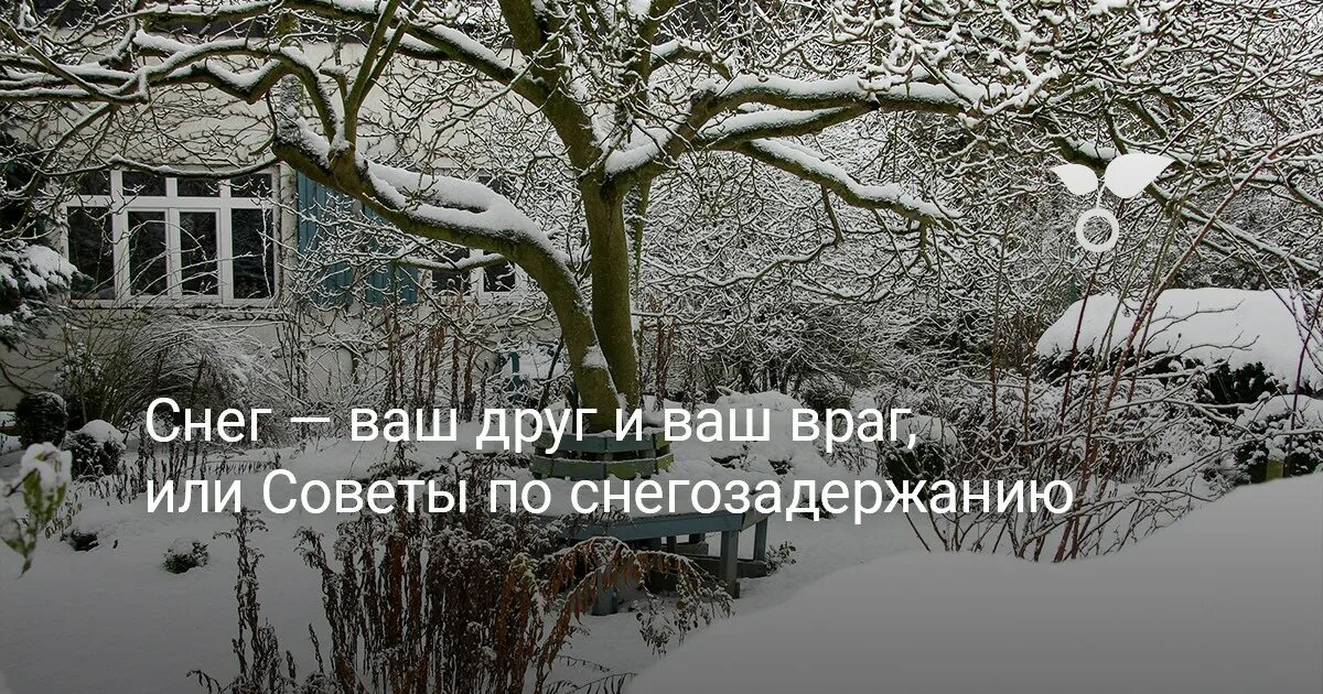 Заберите ваш снег. Почему вокруг стволов исчезает снег. Энн шайн снежная не твой ребенок