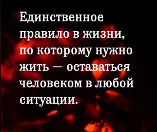 Единственное правило жизни. Оставайтесь людьми в любой ситуации цитаты. Единственное правило жизни. В любой ситуации оставайся человеком. Человек должен оставаться человеком в любой ситуации.