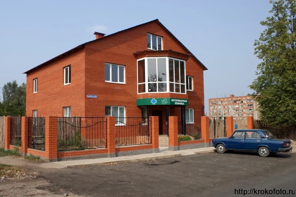 клиника ветбум щекино. груминг для собак рядом со мной. клиника ветбум щекино. ветеринарка щекино. молодежка щекино.