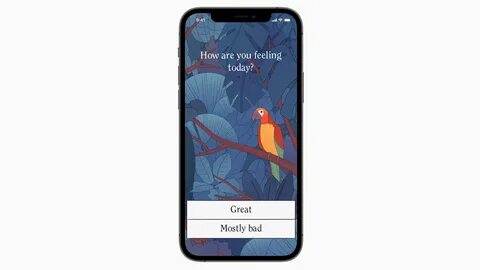 Bird alone