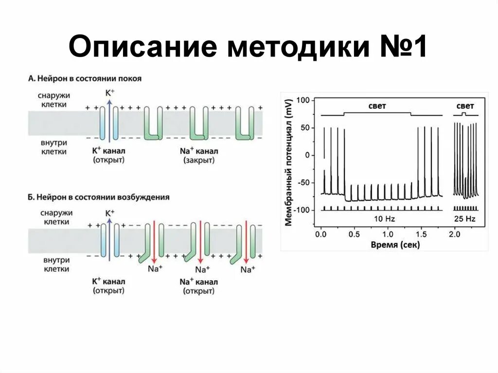 Данная методика описывает