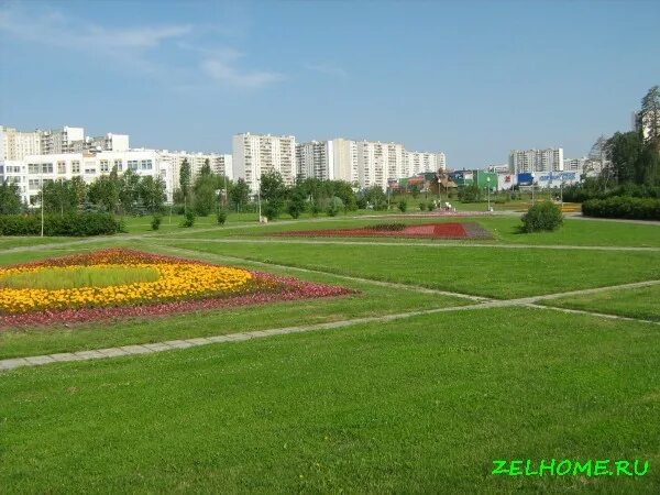 парк в 16 районе зеленоград. зеленоград бульварная зона 16 мкрн. работа зеленоград 16. зеленоград 16 микрорайон парк. зеленоград 16 мкр бульварная зона.
