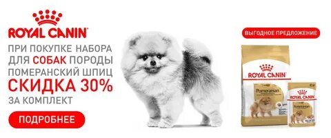 Какой корм лучше для щенков шпица