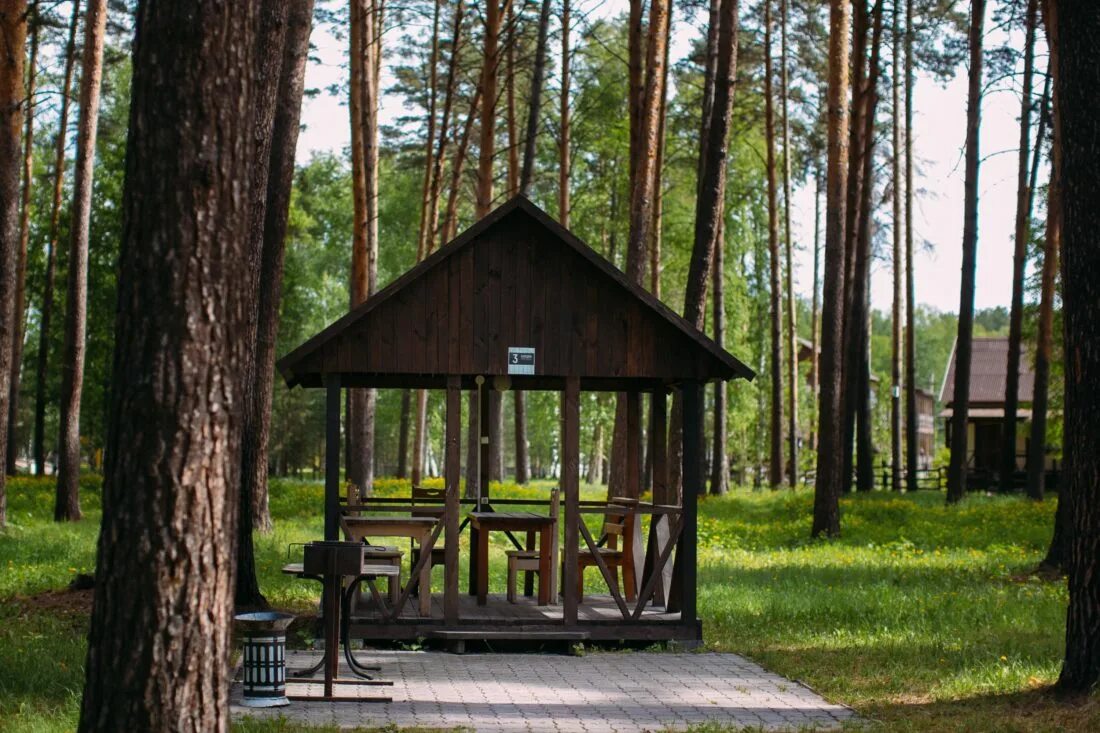 Парки беседками мангалами. Сосновый Бор парк беседки. Сосновый Бор мангальная зона. Сосновый Бор Новосибирск беседки.