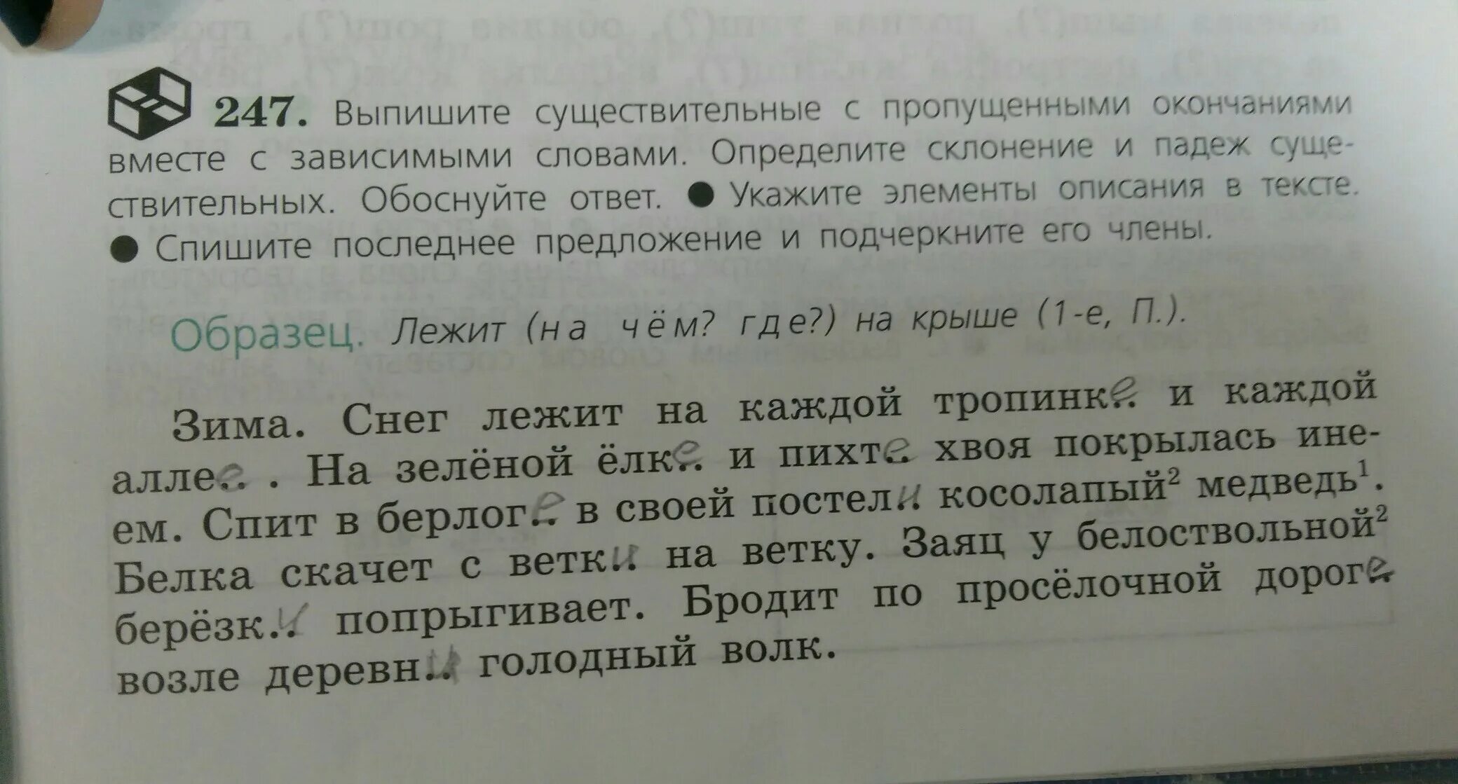 Зима снег лежит на каждой тропинке и каждой аллее. Выпишите имена существительные с пропущенными окончаниями. Зима.снег лежит на каждой тропинке и каждой аллее текст. Русский язык 6 класс ладыженская зима снег лежит.