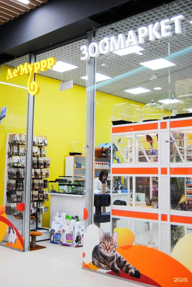 лемур зоомагазин самара. лемур магазин зоотоваров. лемуррр красноярск. зоомаркет лемуррр. лемуррр красноярск магазин зоотоваров.