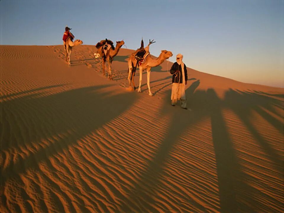 Ливийская пустыня. Пустыня сахара жители. Население в пустынях. Пустыня сахара вид сверху. See africa