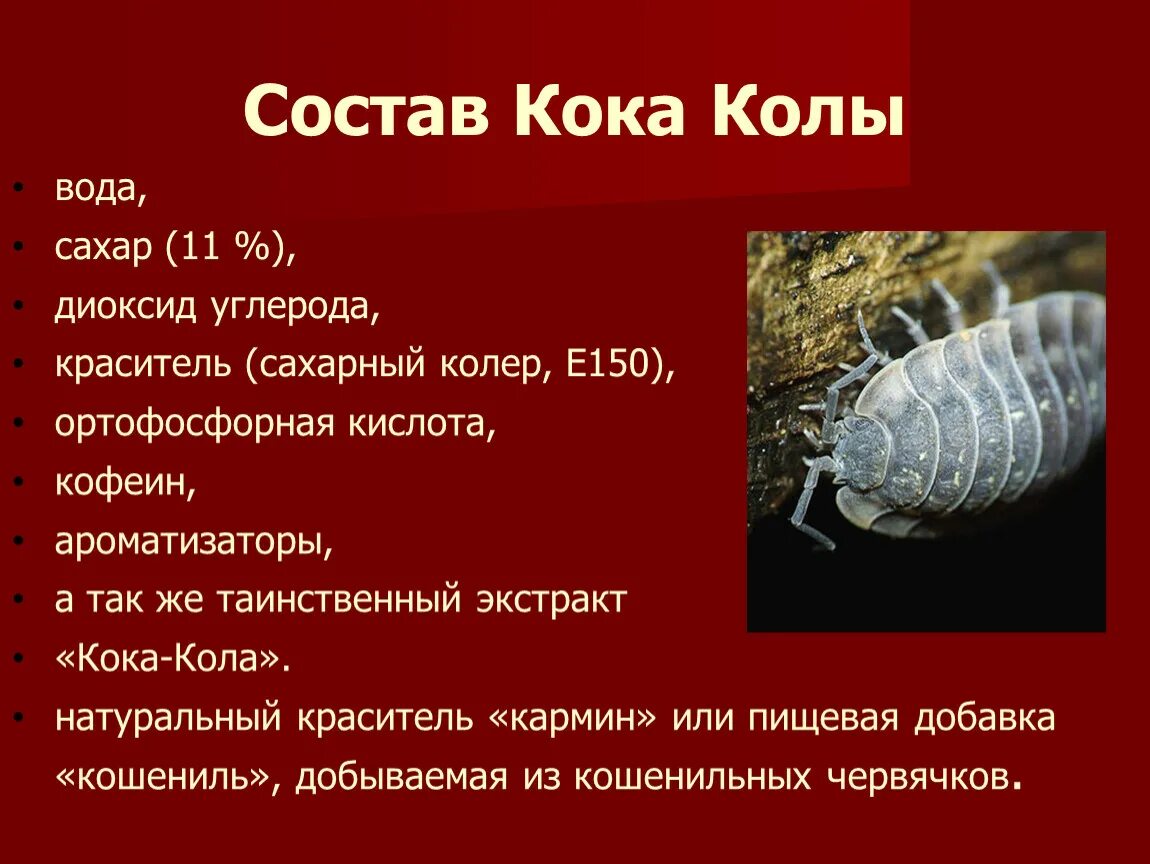 Сама состав. Особенности химического состава живых организмов. Состав шампуня. Липопрайм. Состав грудного молока.