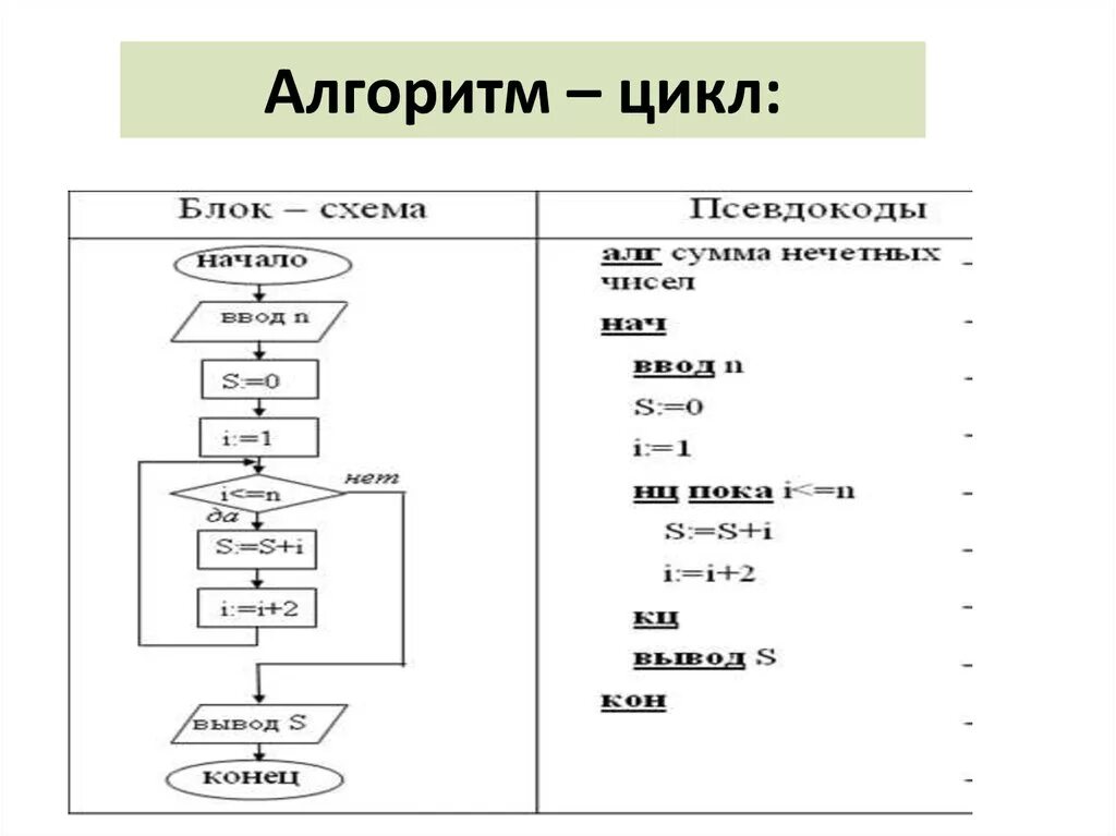 Алгоритмизация языки. Циклический алгоритм блок схема Информатика. Циклический алгоритм на алгоритмическом языке. Циклический алгоритм цикл пример. Циклический алгоритм цикл пока.