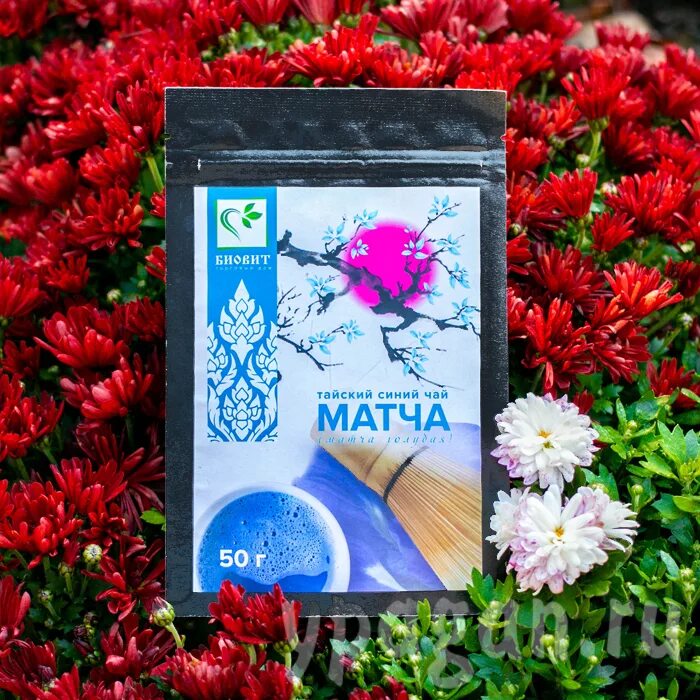 Blue match. Синяя матча. Синий чай матча. Чай голубая матча. Синяя матча из чего.