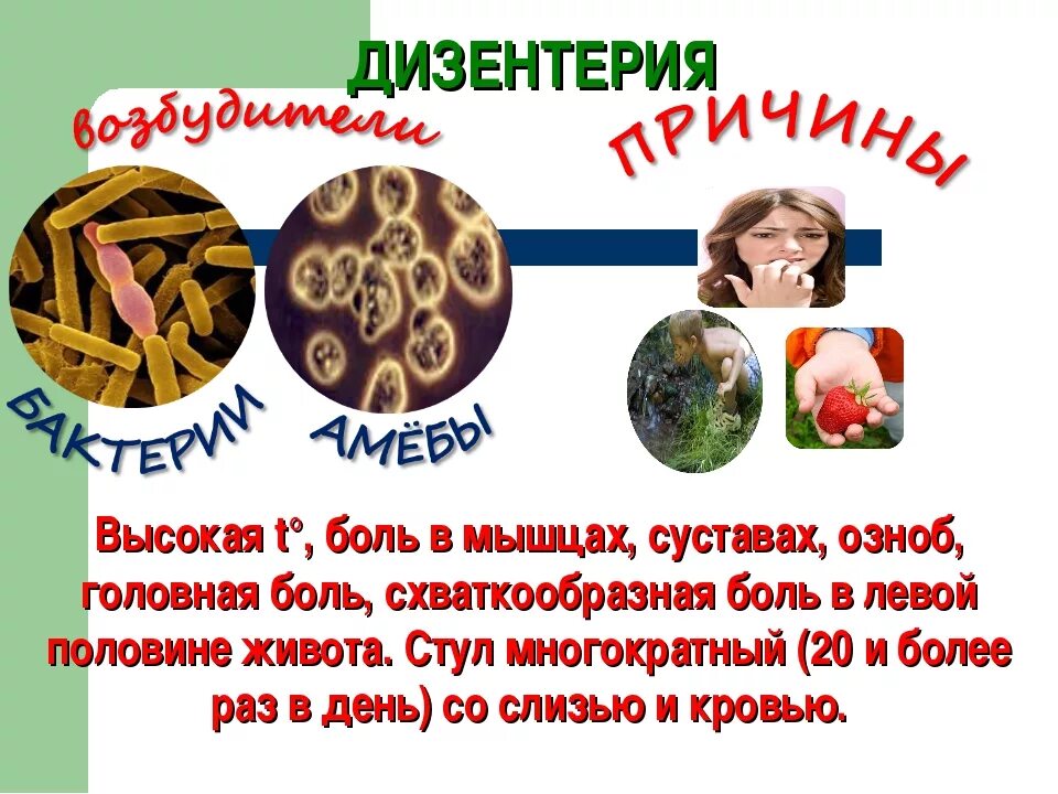 Кишечные инфекции дизентерия. Дизентерия возбудитель продукты питания. Дизентерия возбудитель инфекции. Шигеллез поражение кишечника. Дизентерия вирусное заболевание