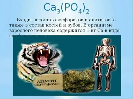 Фосфор входит в состав костей это вещество