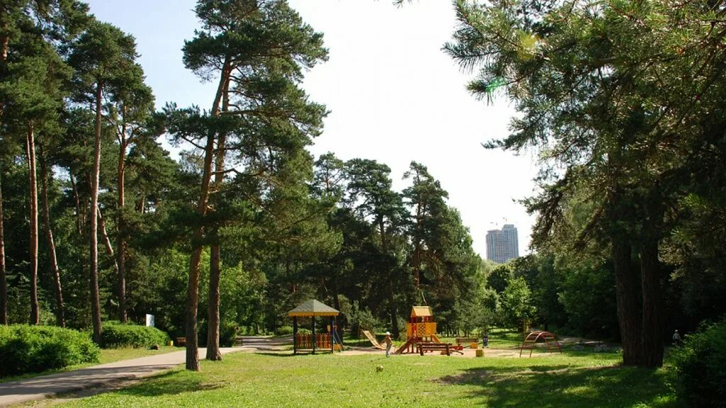 серебряный бор пляж 3 беседки. пляж бора-бора в серебряном бору. пляж бора-бора в серебряном бору в москве. памятник природы серебряный бор. шатер коктебель серебряный бор.