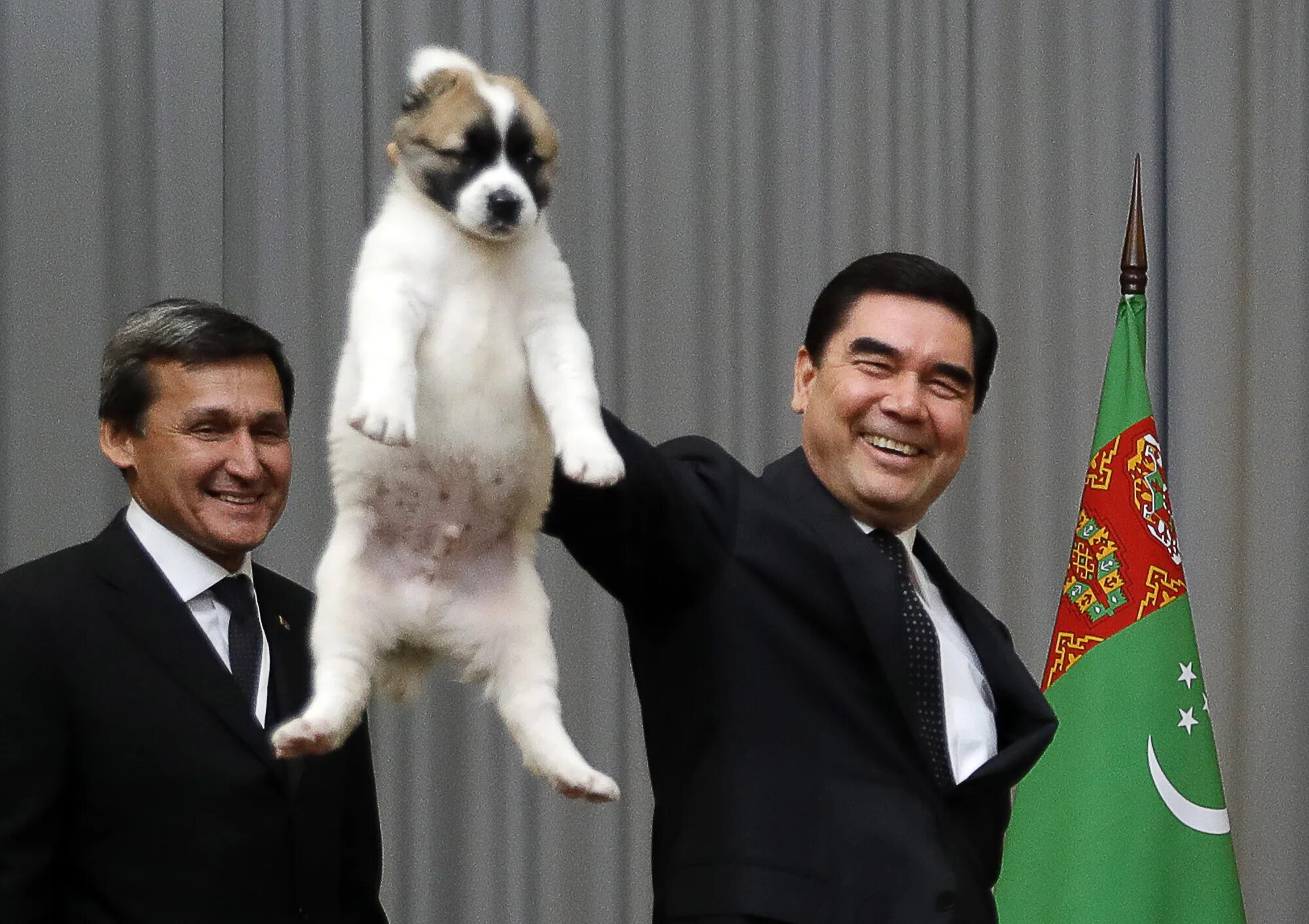 Какого щенка подарили